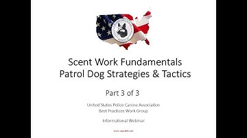 Scent Work Fundamentals - Part 3 of 3 - Patrol Canines