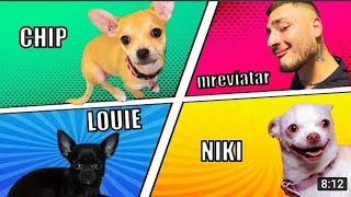 mreviatar & niki ozeri latest video #mreviatar  #nikidog dog@Daily Dose of Awesomeness only here