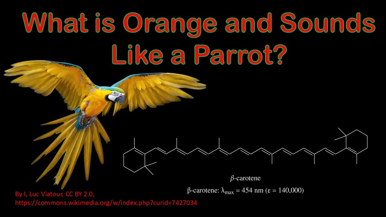 What is Orange and Sounds Like a Parrot, Chemistry Joke, Diels Alder ...