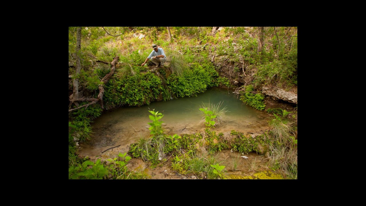 [Wikipedia] Owl Ranch, Texas