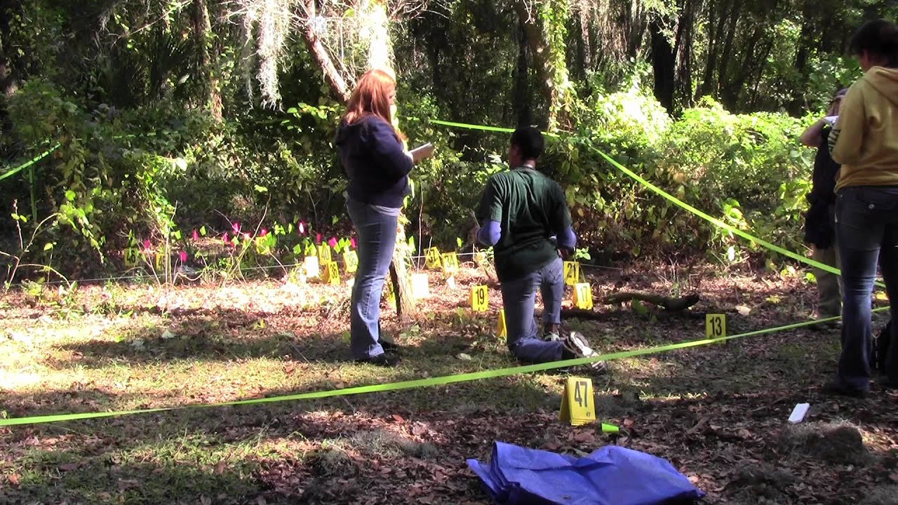 university of south florida admissions USF Students Investigate Mock Crime Scenes