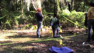 USF Students Investigate Mock Crime Scenes
