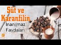 Süt ve Karanfil Karışımının İnanılmaz Faydaları | Sağlıklı Yaşam