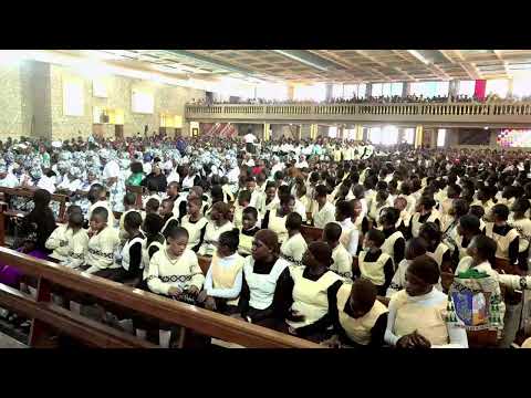 Buea Diocese Welcomes New Bishop Bibi