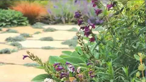 Sheet Mulching Demonstration