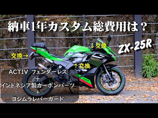 Kawasaki Ninja ZX-25R】フェンダーレス+インドネシア製カーボンパーツ
