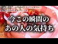 【驚きの神回㊗️】今この瞬間のお相手様のお気持ちに興奮してしまいました🙇♀️🙏再縁・復活・新ステージ🌈✨