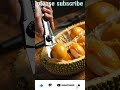 Must Try Thai Giant Jackfruit - Fruit Cutting Skills #Jackfruittool