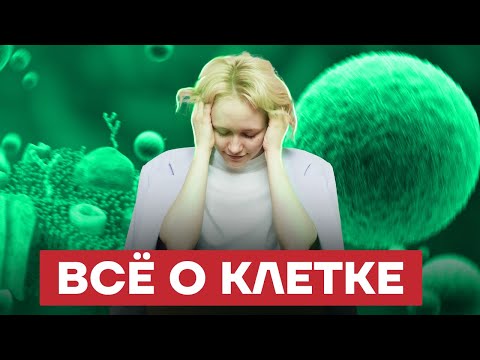 Видео: Какова цель фракционирования клеток?