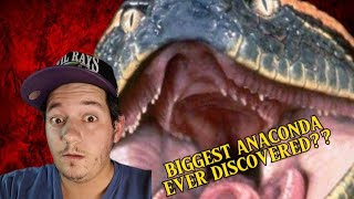 Largest Snake just discovered???