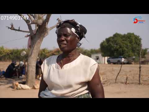 MT DARWIN CHITSVAIRO VILLAGE KUVIGWA KWA BLESSED