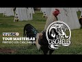 Tour master lab  partido los cascabeles