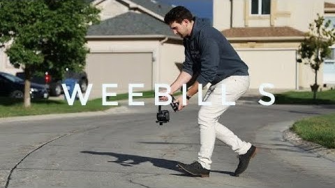 Weebill S After 2 Years: The Ultimate Long-Term Review!