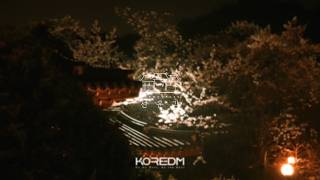 선운각 웨딩 DJ 에프터파티 [Seonungak Wedding DJ Afterparty 2026]