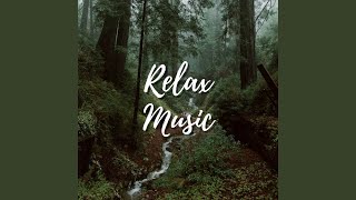 Relaxing Music, Study Music