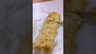 Stromboli / Pizza roll