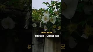 남치이인문학거리 영상