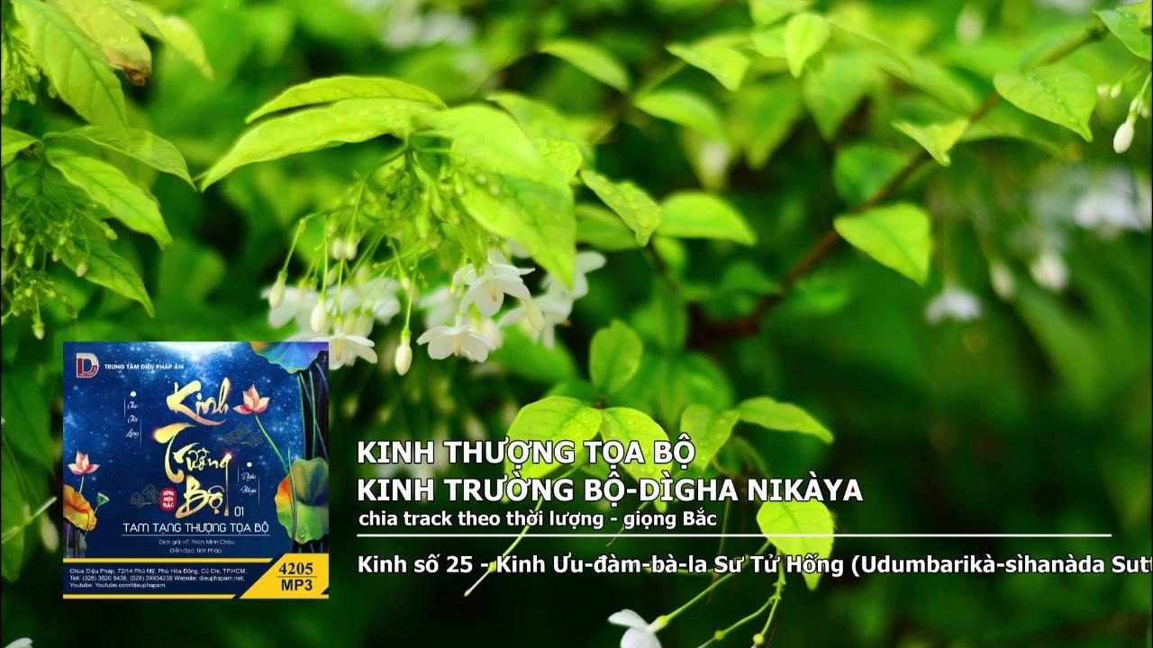 K.số 25 – K.Ưu–đàm–bà–la Sư Tử Hống – Phần 1–2 giọng Bắc 