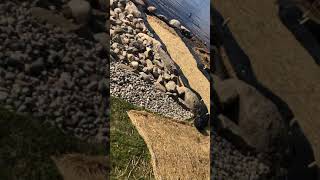 Lakeshore Guys Riprap Shoreline after Storm