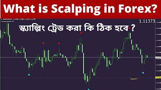 What is Scalping in Forex Forex Scalping Profitable Forex Help BD
