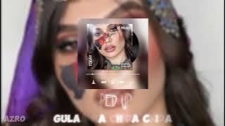 Sediq Shabab - (GULAA RA CHIDA CHIDA) SPED UP