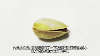 {逃荒不慌，全家大佬種田忙}314~331章 有聲字幕小說