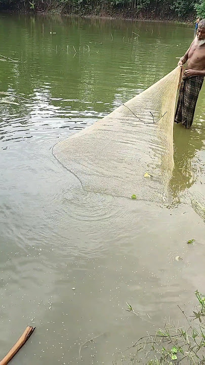 village net fishing #shorts #viralvideo #reels #fishing #wbuniquefishing #plz_subscribe_my_channel..
