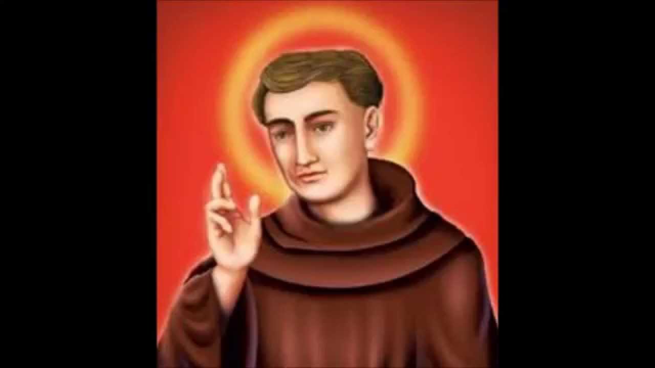 Resultado de imagem para frei galvão história