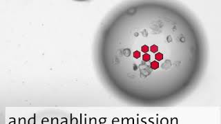 Cell encapsulation in PEG gel surrounded by a permeable solid shell.
