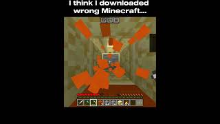 I think I downloaded wrong Minecraft #gugugaga #catmemes