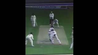 Marwan Mohammad Cricket Highlights