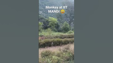 #iitmandi #iitmotivation #beautiful #best #iit #beautiful #life #motivation #nature #himachal