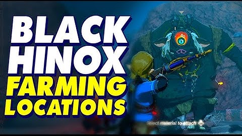 BLACK HINOX Farming Locations | Legend of Zelda Tears of the Kingdom Gameplay #totk