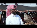 شاهد سباق الهجن ومهرجان الصقور مظاهر تعكس التراث القطري شاهد سباق الهجن ومهرجان الصقور مظاهر تعكس التراث القطري