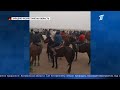 Кокпар в честь поминок: казахстанцы продолжают нарушать карантин