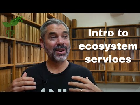 Introduction to ecosystem services | Earth Resources | meriSTEM