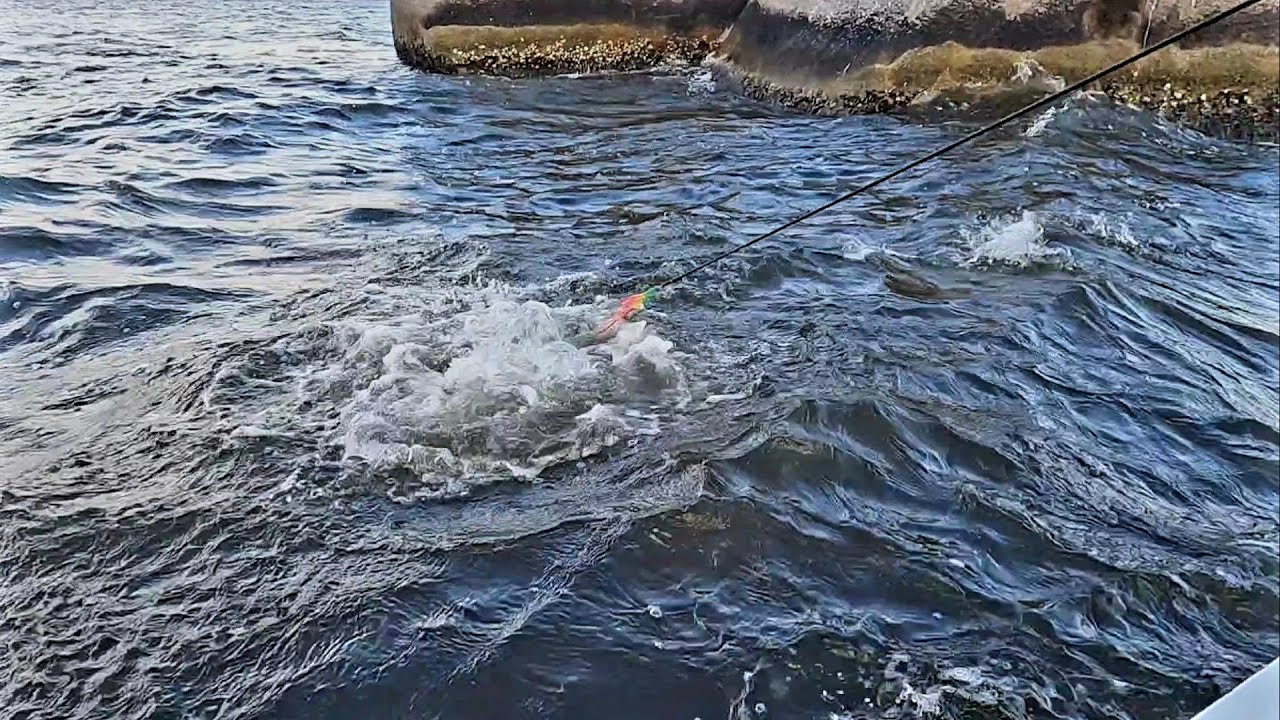 QUE CARDUME ENORME NA TARRAFA DE MULTIFILAMENTO - BANYAK IKAN DI JARING