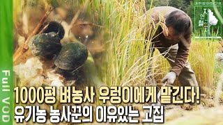 Why did a 37-year veteran farmer become obsessed with eco-friendly rice farming? The aesthetics o...