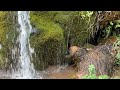 🟡Cascada en Ayna (Albacete ) El agua fluyendo por el mugo y las rocas #ASMR