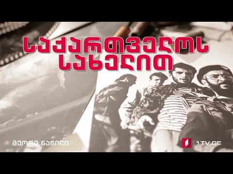 საქართველოს სახელით - მეორე ნაწილი