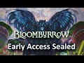 Maha is Mad Good - Early Access Bloomburrow Sealed