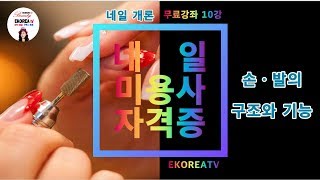 [10강] 네일독학필기  “손발의 구조와 기능”