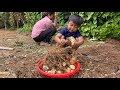 Seyhak dig lesser yam with grandmother / Lesser yam recipe ( Tiger finger yam )