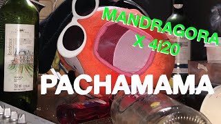 Video thumbnail of "Mandragora x 4i20 - Pachamama 170BPM (Official Music Video)"