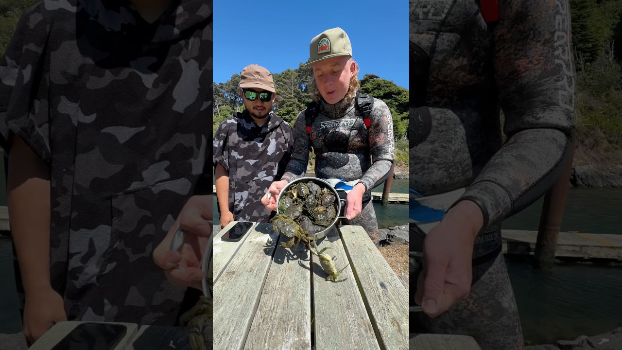 Eating extremely invasive crabs