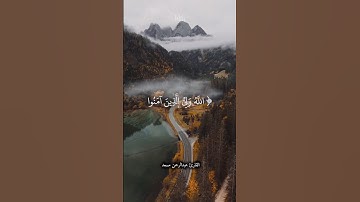 ﴿ الله ولي الذين آمنوا ﴾ القارئ عبدالرحمن مسعد