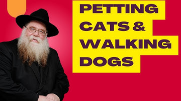Yud Tes Kislev prep: No Petting Cats or Walking Dogs, Mesora, good old-fashioned Chasidus- RCD