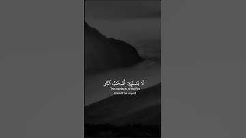قرأن كريم ❤️ #تلاوة_خاشعة #قران_كريم #راحة_نفسية #اكسبلور #يارب