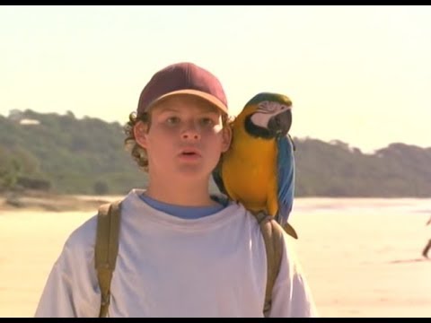 The Real Macaw (1998)