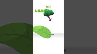 What Color Is the Tree and Leaf with OM NOM #shorts #youtubeshorts #omnom #cartoons